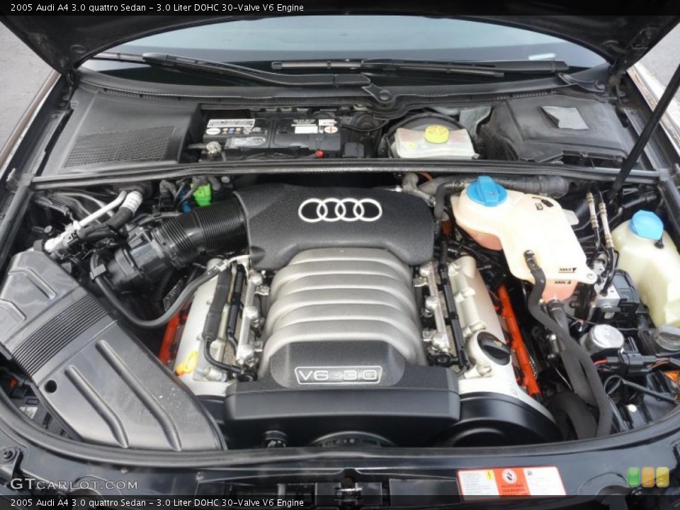 3.0 Liter DOHC 30-Valve V6 Engine for the 2005 Audi A4 #43493268