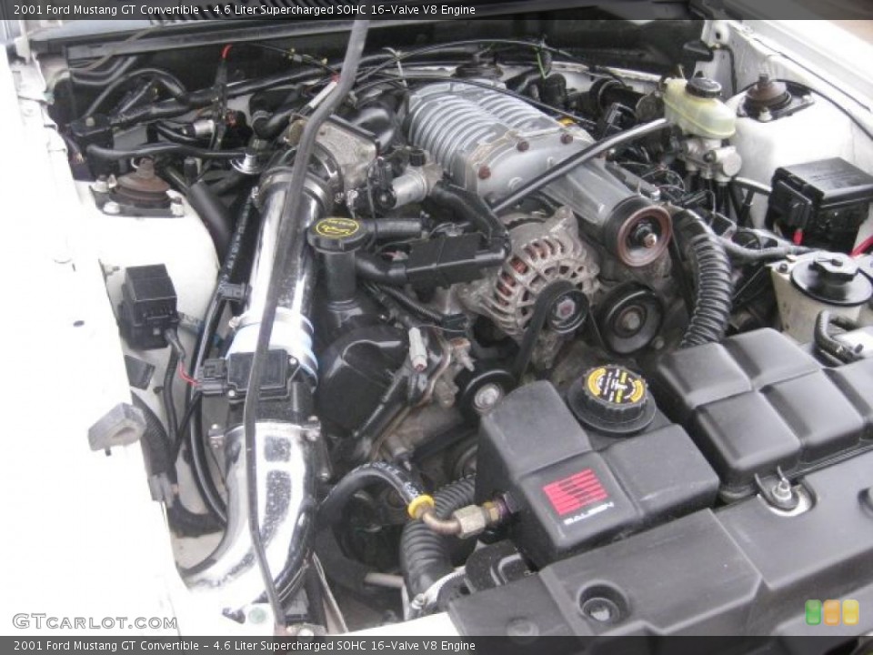 4.6 Liter Supercharged SOHC 16-Valve V8 2001 Ford Mustang Engine