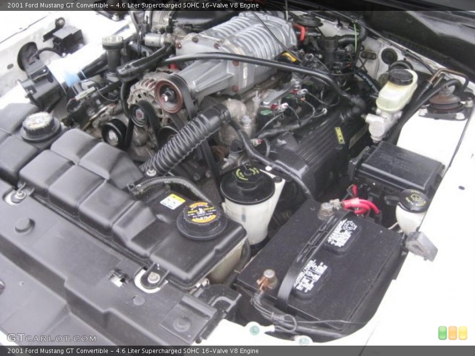 4.6 Liter Supercharged SOHC 16-Valve V8 Engine for the 2001 Ford Mustang #43689464