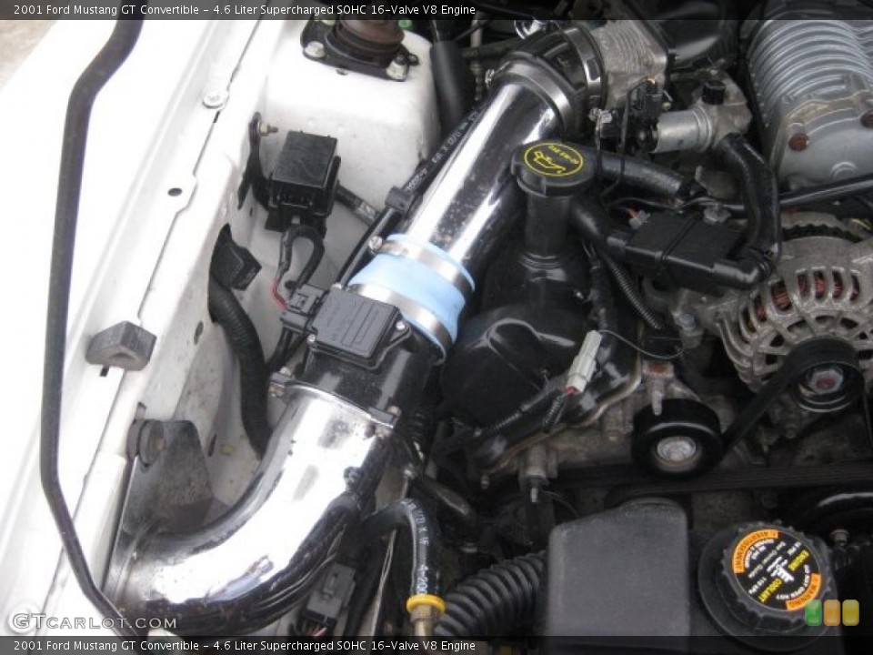 4.6 Liter Supercharged SOHC 16-Valve V8 Engine for the 2001 Ford Mustang #43689476