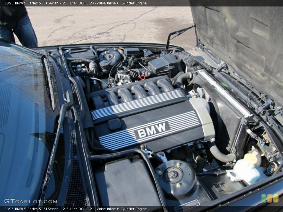 2.5 Liter DOHC 24-Valve Inline 6 Cylinder Engine for the 1995 BMW 5 Series #45957113