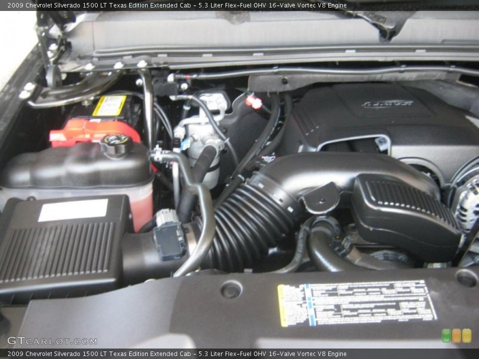 5.3 Liter Flex-Fuel OHV 16-Valve Vortec V8 Engine for the 2009 Chevrolet Silverado 1500 #46100072