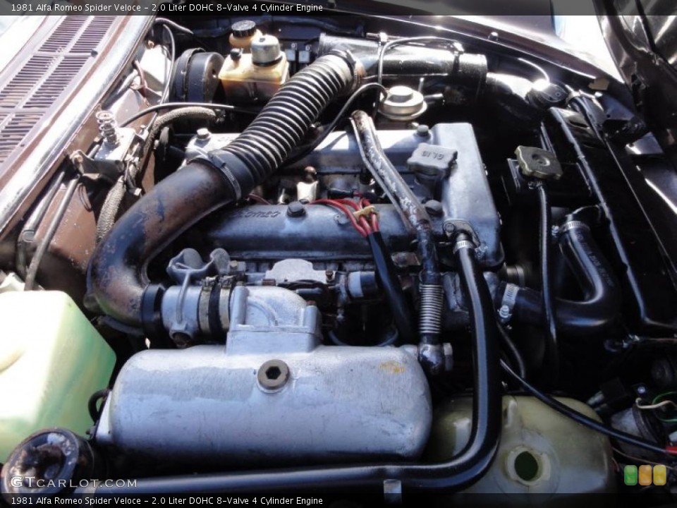 2.0 Liter DOHC 8-Valve 4 Cylinder Engine for the 1981 Alfa Romeo Spider #46330506