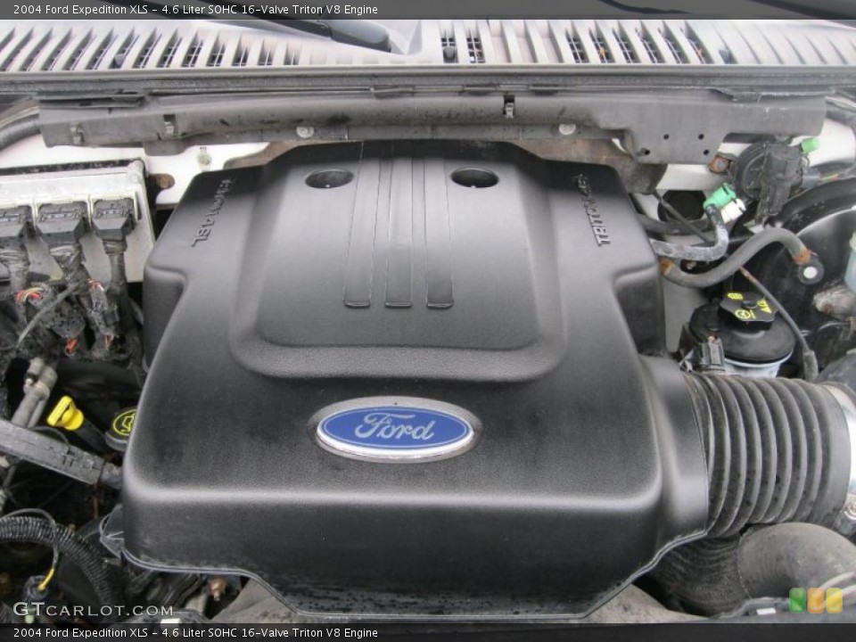 4.6 Liter SOHC 16-Valve Triton V8 Engine for the 2004 Ford Expedition #46524414