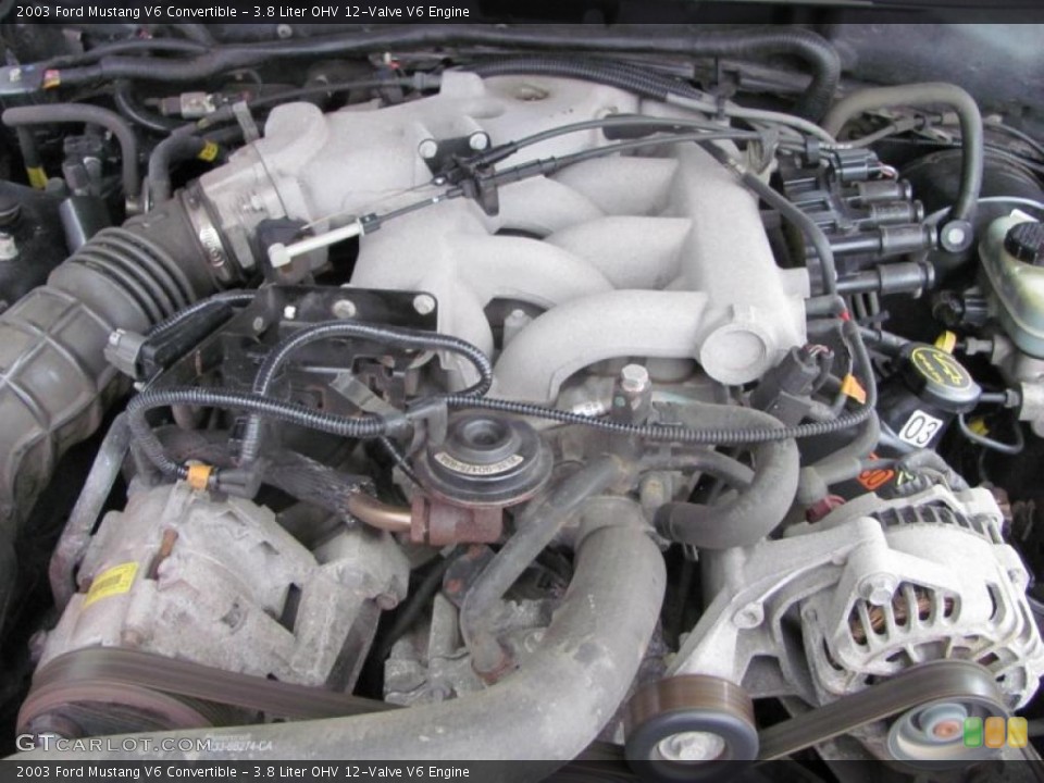 3.8 Liter OHV 12-Valve V6 Engine for the 2003 Ford Mustang #46593890