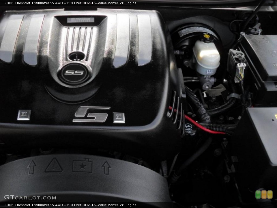 6.0 Liter OHV 16-Valve Vortec V8 Engine for the 2006 Chevrolet TrailBlazer #46971279