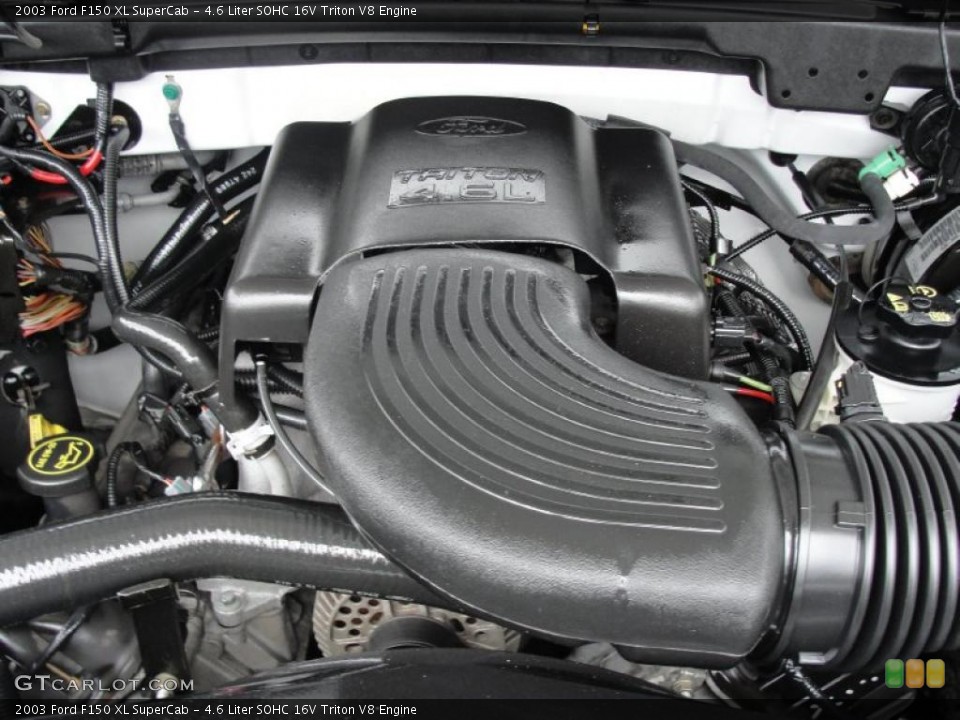 4.6 Liter SOHC 16V Triton V8 Engine for the 2003 Ford F150 #47159109