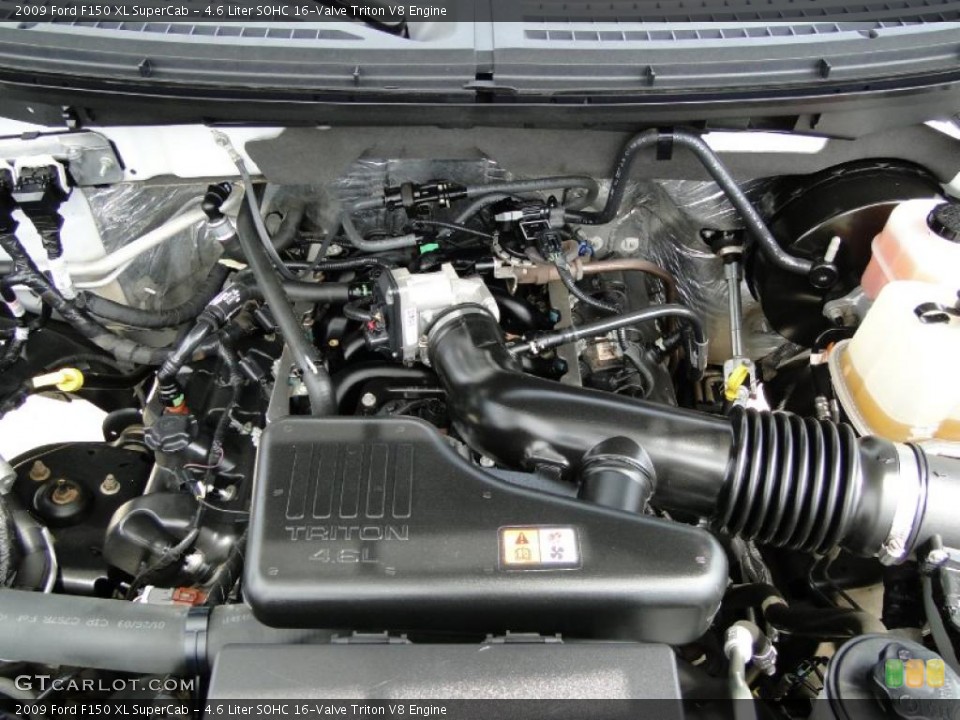 4.6 Liter SOHC 16-Valve Triton V8 Engine for the 2009 Ford F150 #47257724