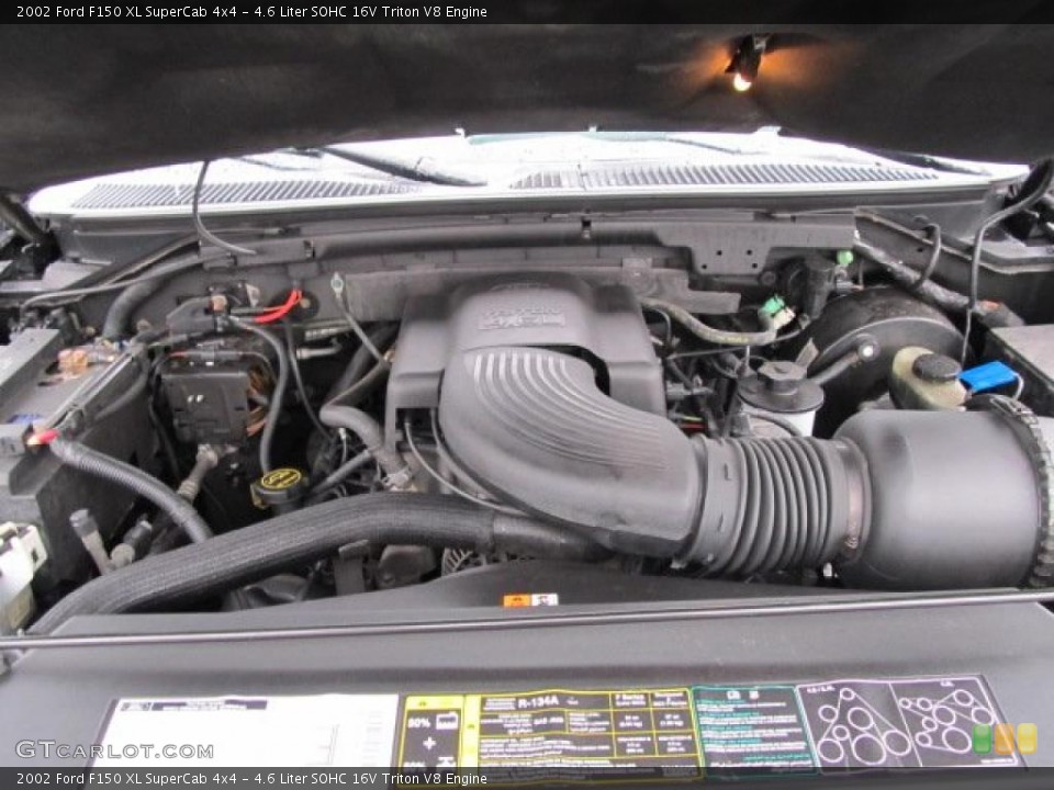4.6 Liter SOHC 16V Triton V8 Engine for the 2002 Ford F150 #47626124