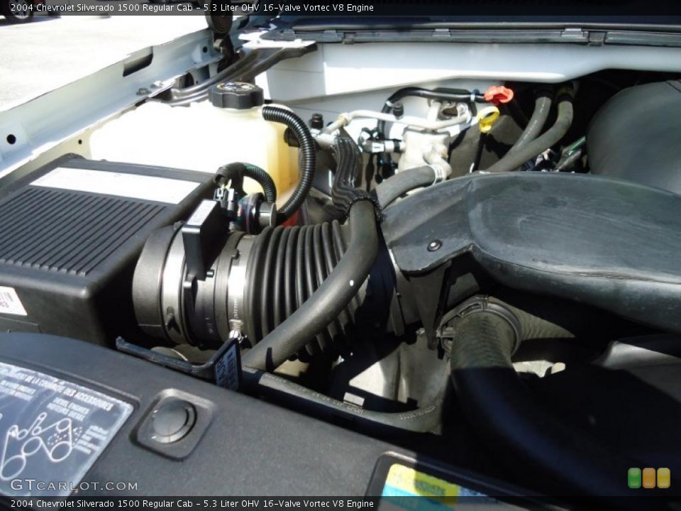 5.3 Liter OHV 16-Valve Vortec V8 Engine for the 2004 Chevrolet Silverado 1500 #47810468