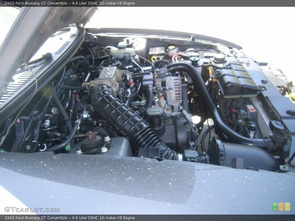 4.6 Liter SOHC 16-Valve V8 Engine for the 2003 Ford Mustang #48051962