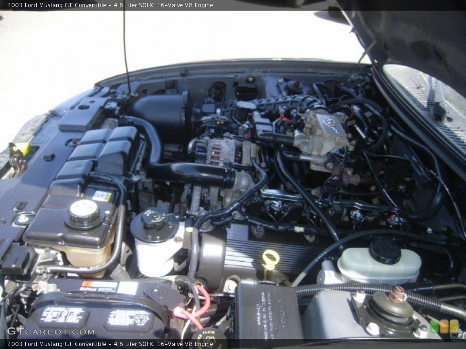 4.6 Liter SOHC 16-Valve V8 Engine for the 2003 Ford Mustang #48051992