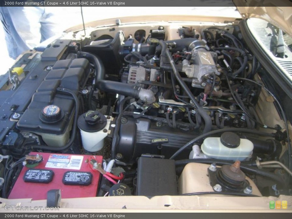 4.6 Liter SOHC 16-Valve V8 Engine for the 2000 Ford Mustang #48052307