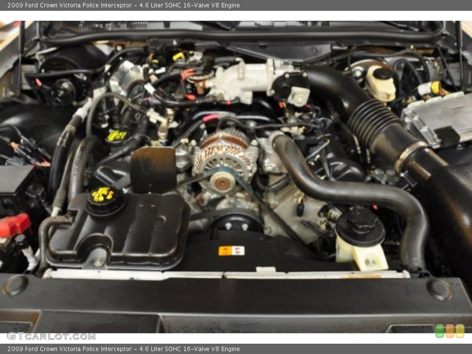 4.6 Liter SOHC 16-Valve V8 Engine for the 2009 Ford Crown Victoria #48344635