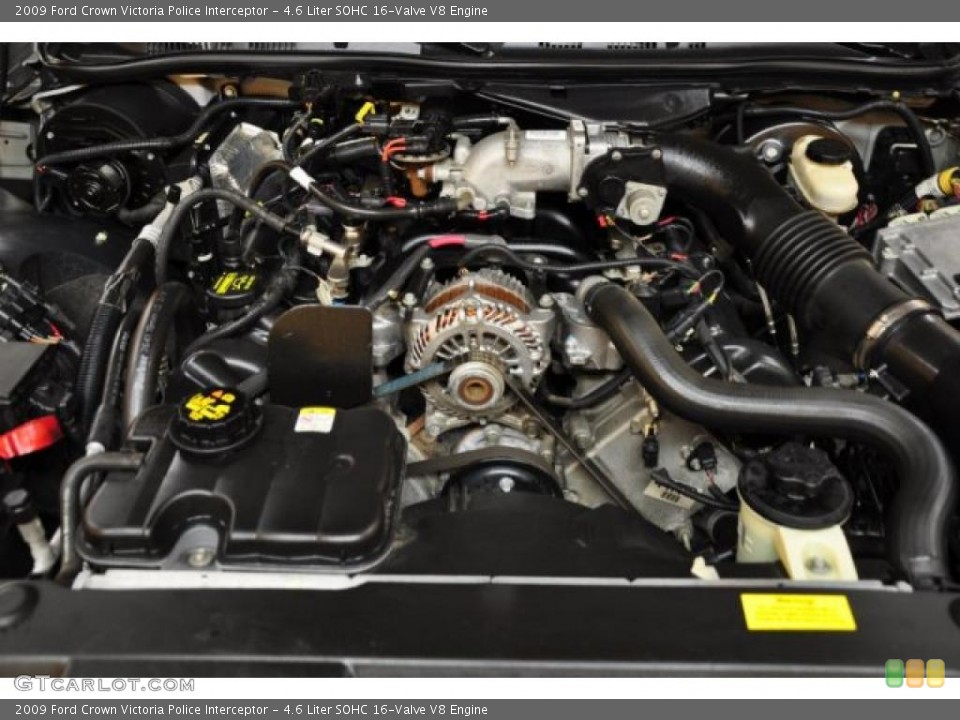 4.6 Liter SOHC 16-Valve V8 Engine for the 2009 Ford Crown Victoria #48344923