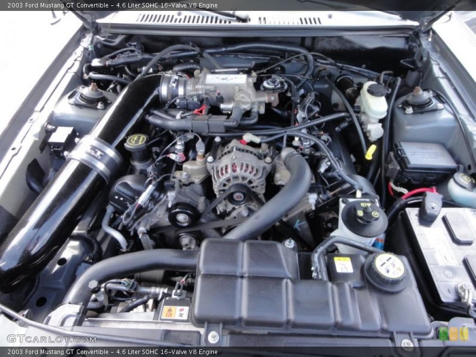 4.6 Liter SOHC 16-Valve V8 Engine for the 2003 Ford Mustang #48542303