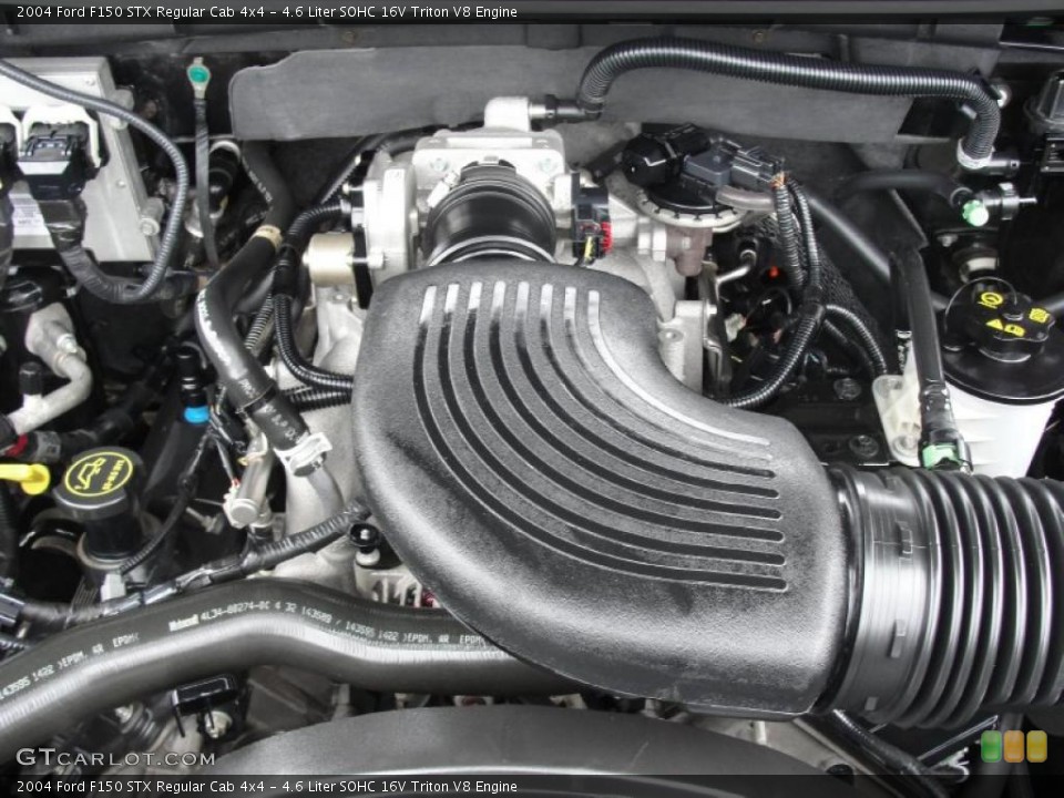 4.6 Liter SOHC 16V Triton V8 Engine for the 2004 Ford F150 #48830382