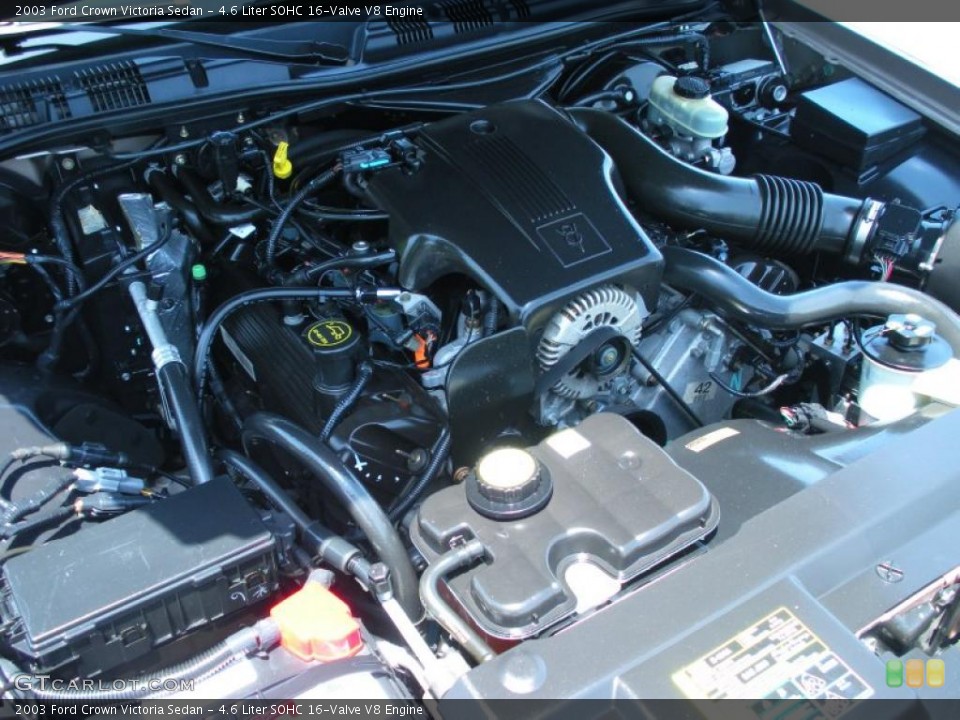 4.6 Liter SOHC 16-Valve V8 Engine for the 2003 Ford Crown Victoria #48870084