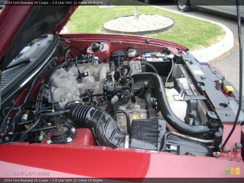 3.8 Liter OHV 12-Valve V6 Engine for the 2004 Ford Mustang #49331247