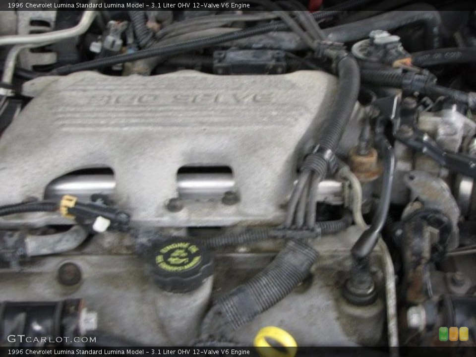 3.1 Liter OHV 12-Valve V6 Engine for the 1996 Chevrolet Lumina #49333167