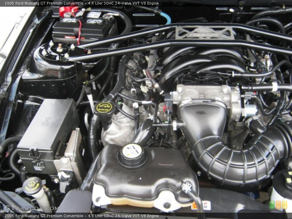 4.6 Liter SOHC 24-Valve VVT V8 Engine for the 2005 Ford Mustang #49524893