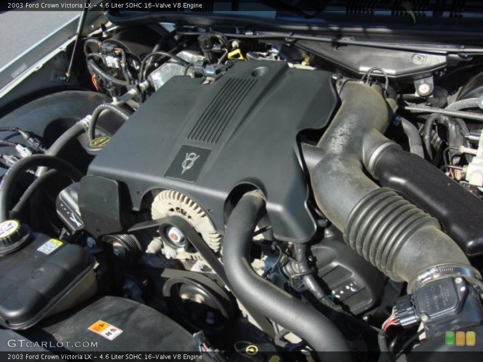4.6 Liter SOHC 16-Valve V8 Engine for the 2003 Ford Crown Victoria #49811580