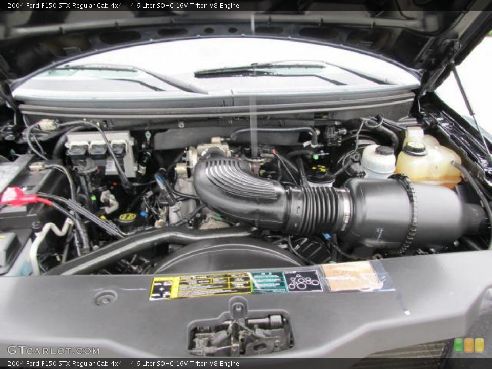 4.6 Liter SOHC 16V Triton V8 Engine for the 2004 Ford F150 #49879880