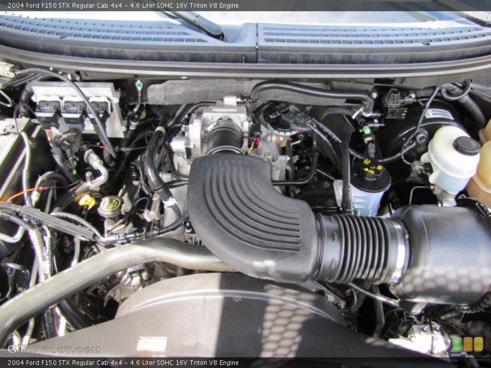 4.6 Liter SOHC 16V Triton V8 Engine for the 2004 Ford F150 #50024518