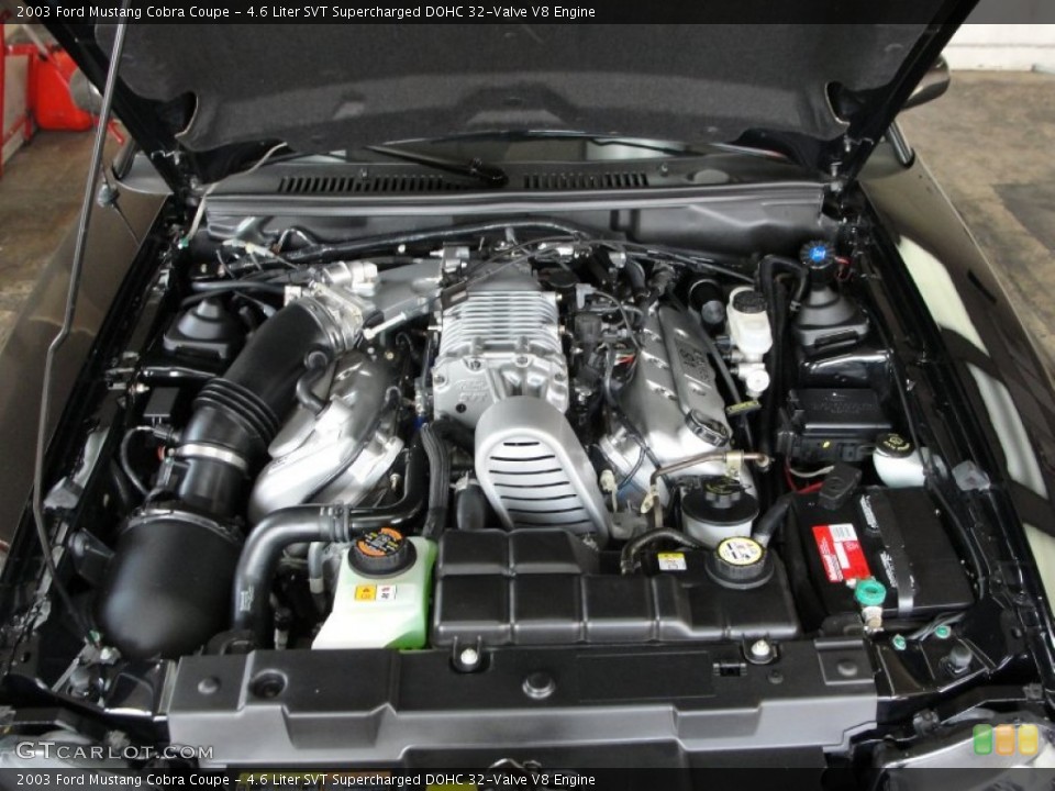 4.6 Liter SVT Supercharged DOHC 32-Valve V8 Engine for the 2003 Ford Mustang #50436316