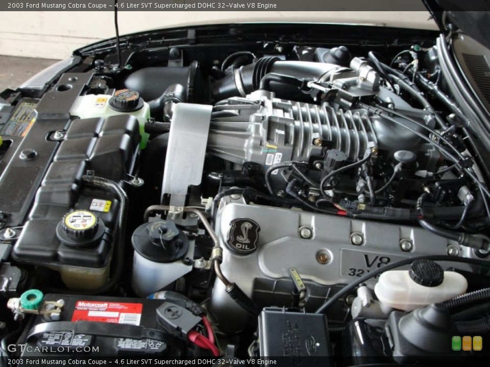 4.6 Liter SVT Supercharged DOHC 32-Valve V8 Engine for the 2003 Ford Mustang #50436322