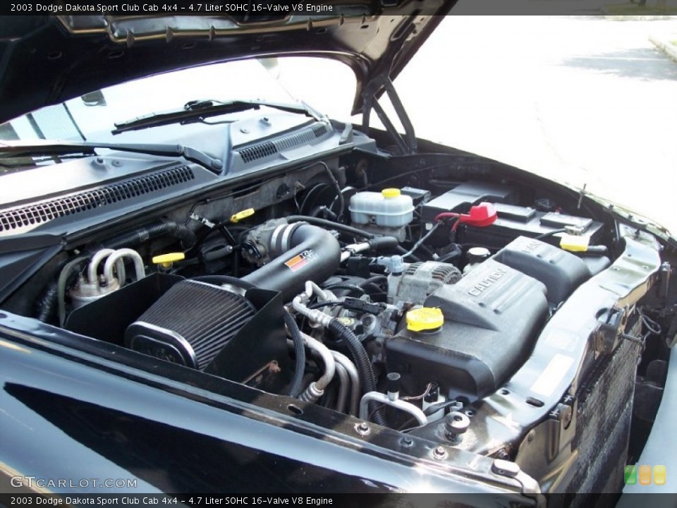 4.7 Liter SOHC 16-Valve V8 Engine for the 2003 Dodge Dakota #50619957
