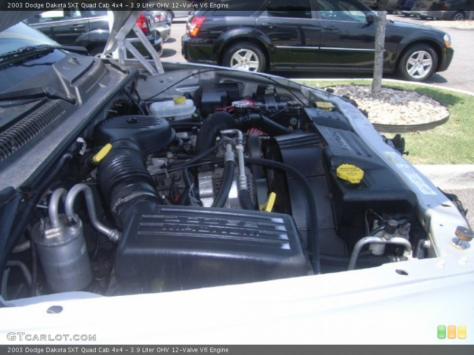 3.9 Liter OHV 12-Valve V6 Engine for the 2003 Dodge Dakota #51026047
