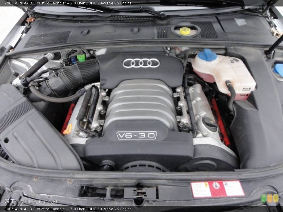3.0 Liter DOHC 30-Valve V6 Engine for the 2005 Audi A4 #52333575