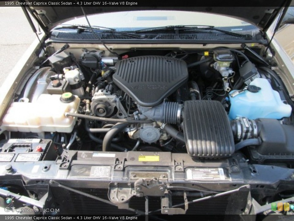 4.3 Liter OHV 16-Valve V8 Engine for the 1995 Chevrolet Caprice #53187869