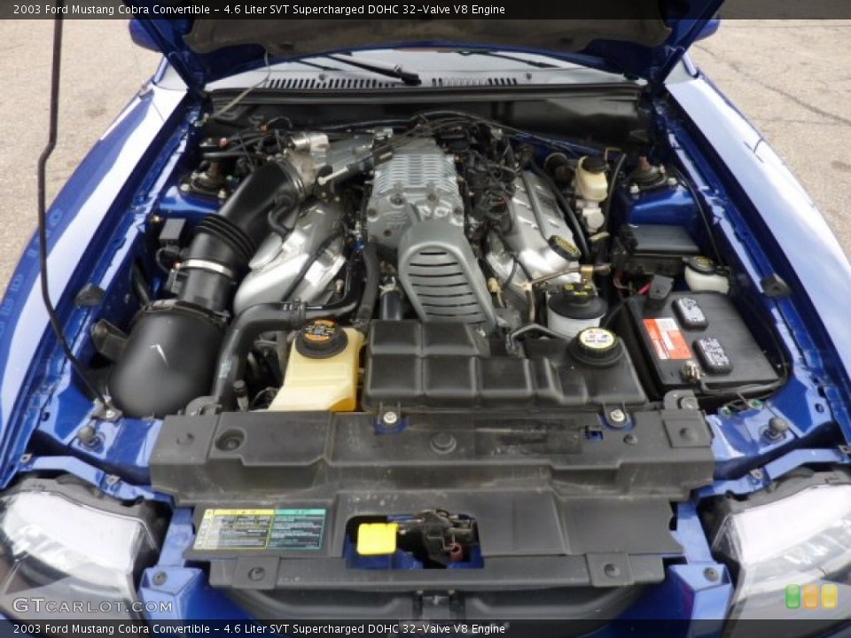 4.6 Liter SVT Supercharged DOHC 32-Valve V8 Engine for the 2003 Ford Mustang #53489191