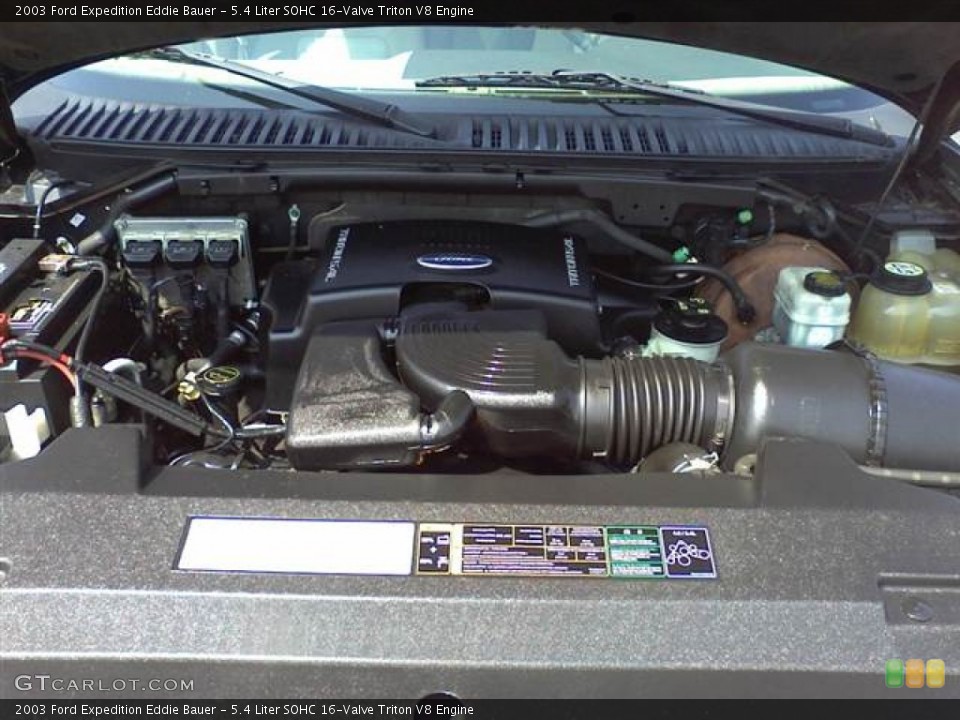 5.4 Liter SOHC 16-Valve Triton V8 Engine for the 2003 Ford Expedition #53690232