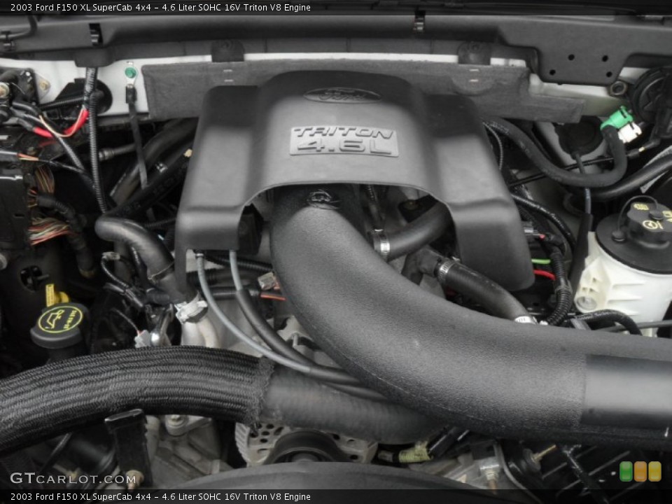 4.6 Liter SOHC 16V Triton V8 Engine for the 2003 Ford F150 #53833006
