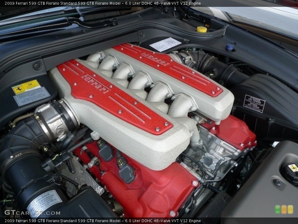 6.0 Liter DOHC 48-Valve VVT V12 Engine for the 2009 Ferrari 599 GTB Fiorano #54530783