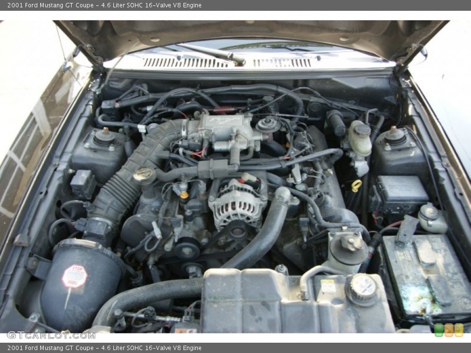 4.6 Liter SOHC 16-Valve V8 Engine for the 2001 Ford Mustang #55089340