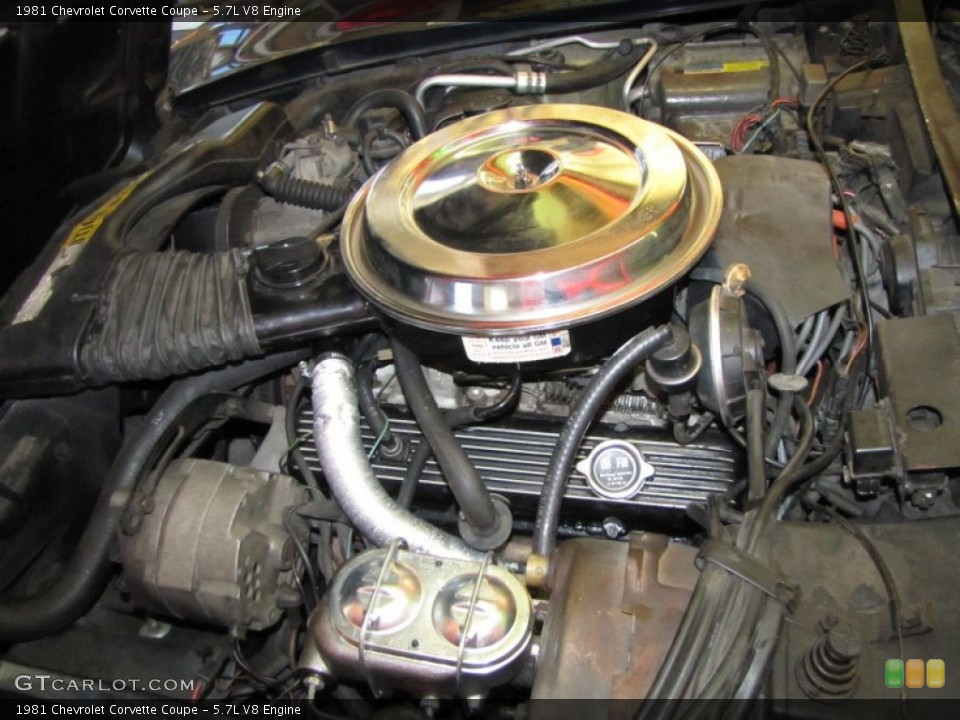 5.7L V8 Engine for the 1981 Chevrolet Corvette #55552026