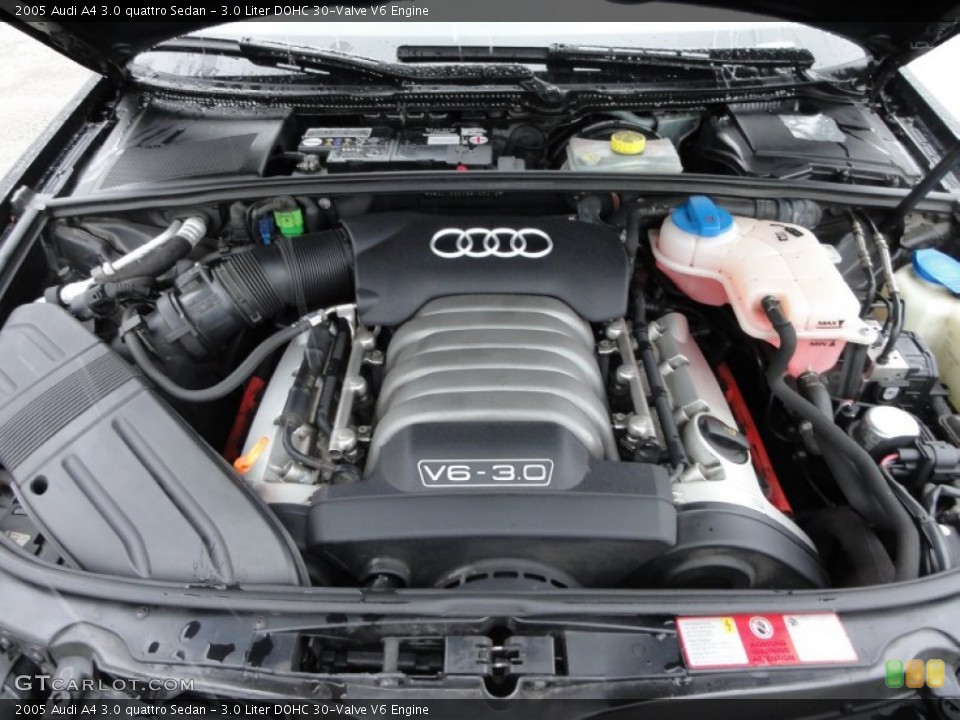 3.0 Liter DOHC 30-Valve V6 Engine for the 2005 Audi A4 #57520813