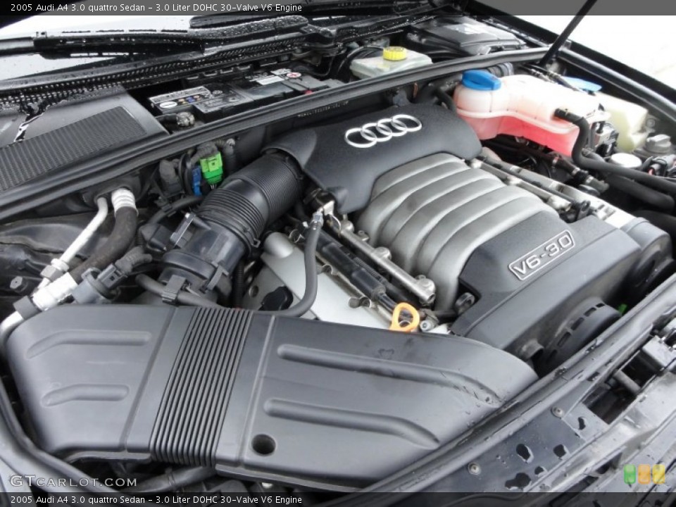 3.0 Liter DOHC 30-Valve V6 Engine for the 2005 Audi A4 #57520831