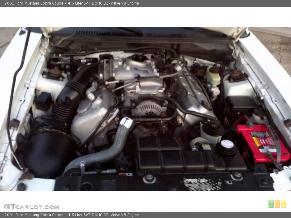 4.6 Liter SVT DOHC 32-Valve V8 Engine for the 2001 Ford Mustang #57630391