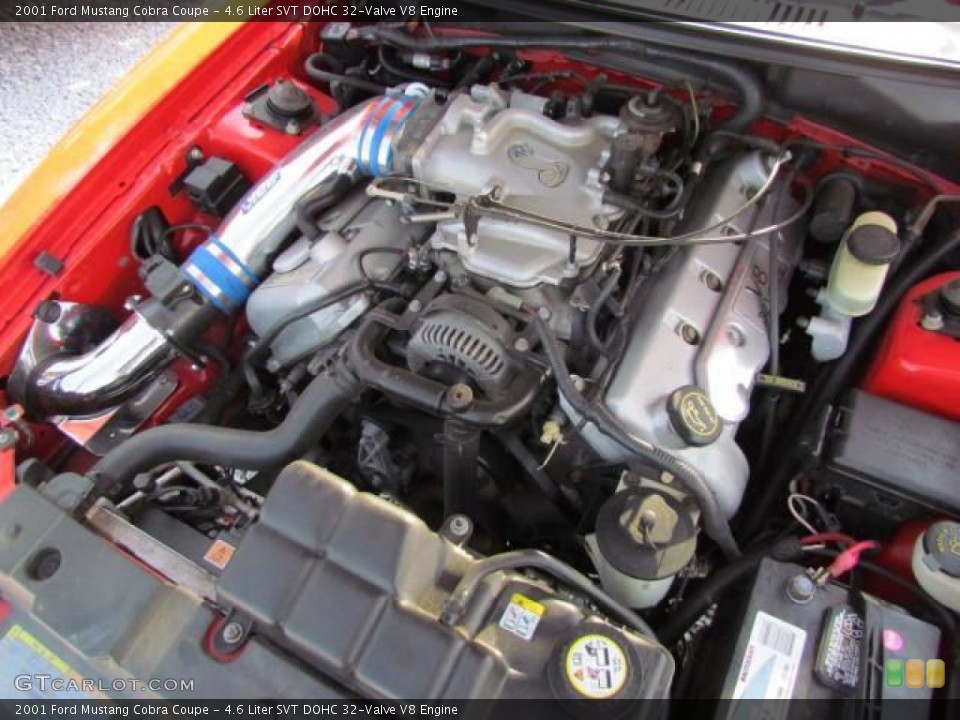 4.6 Liter SVT DOHC 32-Valve V8 Engine for the 2001 Ford Mustang #57648606