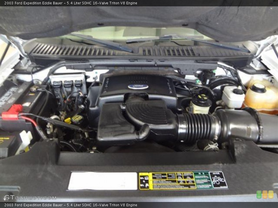 5.4 Liter SOHC 16-Valve Triton V8 Engine for the 2003 Ford Expedition #57789086