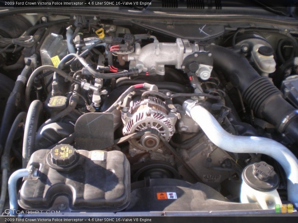 4.6 Liter SOHC 16-Valve V8 Engine for the 2009 Ford Crown Victoria #58632962