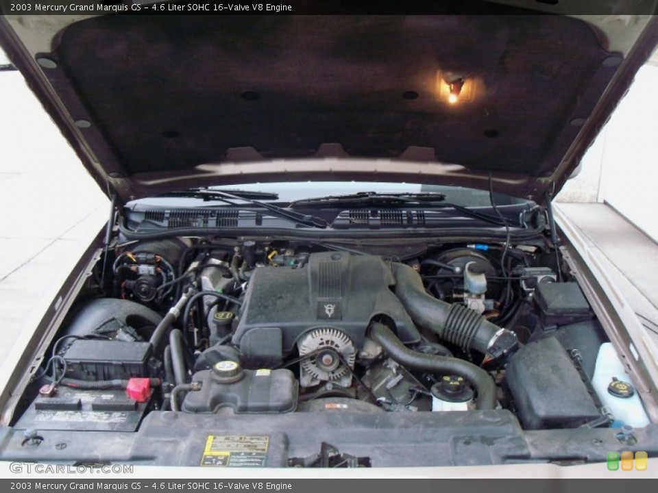 4.6 Liter SOHC 16-Valve V8 Engine for the 2003 Mercury Grand Marquis #60107007