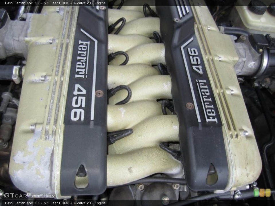 5.5 Liter DOHC 48-Valve V12 Engine for the 1995 Ferrari 456 #60812385