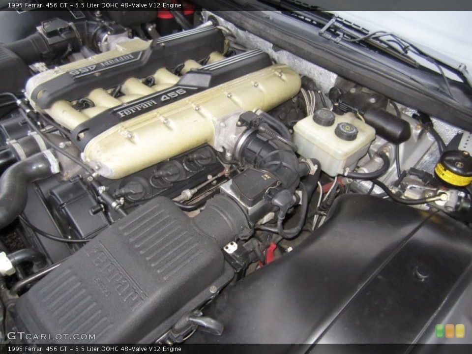 5.5 Liter DOHC 48-Valve V12 Engine for the 1995 Ferrari 456 #60812415