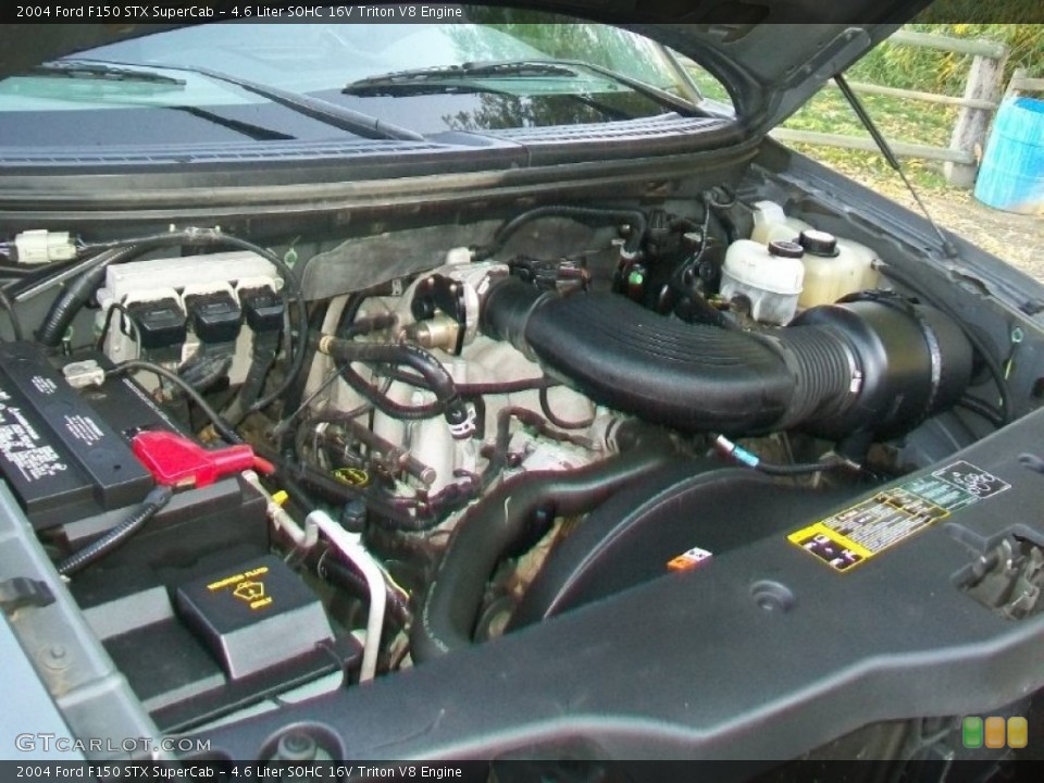 4.6 Liter SOHC 16V Triton V8 Engine for the 2004 Ford F150 #62059530
